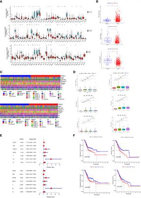 FMO family may serve as novel marker and potential therapeutic target for the peritoneal metastasis in gastric cancer